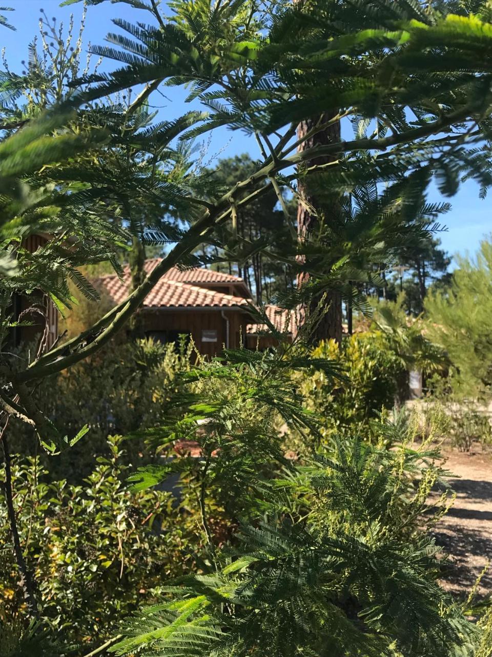 Domaine Du Ferret Restaurant & Spa Lege-Cap-Ferret Exterior photo